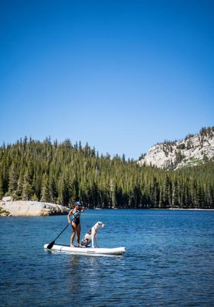 Should You Bend Your Knees When Paddle Boarding?